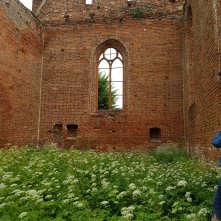 Ruiny kościoła w Ostaszewie, fot. A. Paprot-Wielopolska 2018